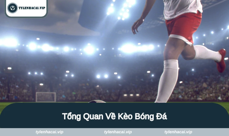 keo bong da 1 Tổng quan đôi nét về kèo bóng đá