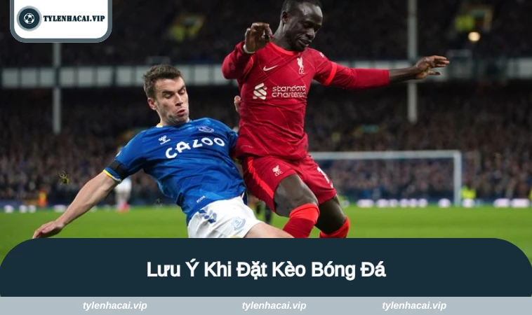 keo bong da 3 Những lưu ý để cá cược hiệu quả và giảm thiểu rủi ro