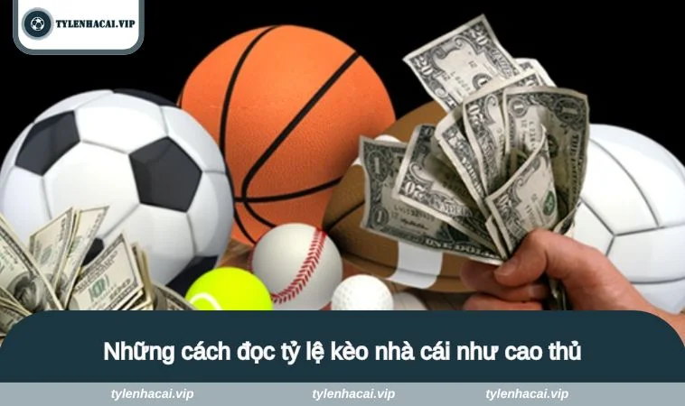 cach doc ty le keo nha cai 3 Những cách đọc tỷ lệ kèo nhà cái như cao thủ