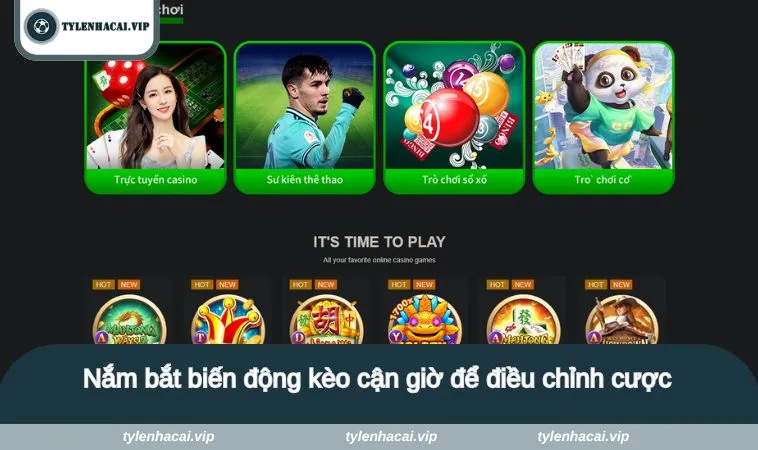 Nắm bắt biến động kèo cận giờ để điều chỉnh cược