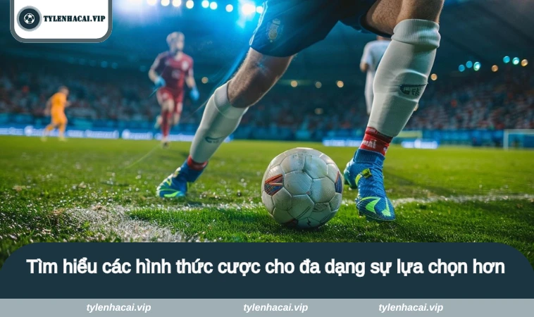 Tìm hiểu các hình thức cược cho đa dạng sự lựa chọn hơn