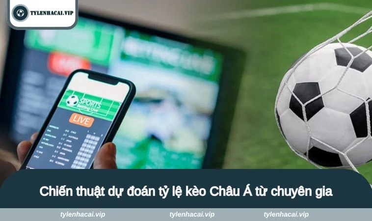 Chiến thuật dự đoán tỷ lệ kèo Châu Á từ chuyên gia