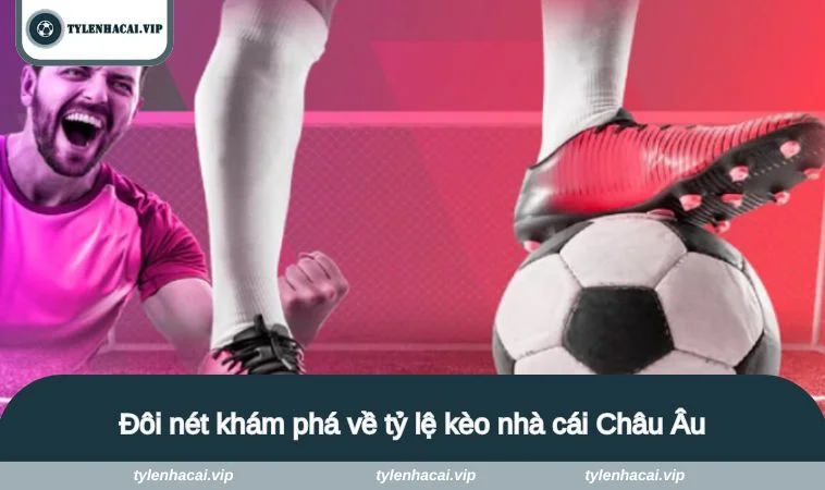 ty le keo nha cai chau au 1 Đôi nét khám phá về tỷ lệ kèo nhà cái Châu Âu