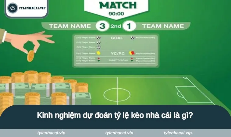 Kinh nghiệm dự đoán tỷ lệ kèo nhà cái là gì?