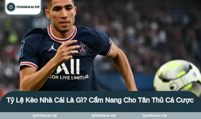 Tỷ Lệ Kèo Nhà Cái Là Gì