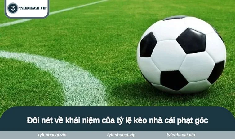 Đôi nét về khái niệm của tỷ lệ kèo nhà cái phạt góc