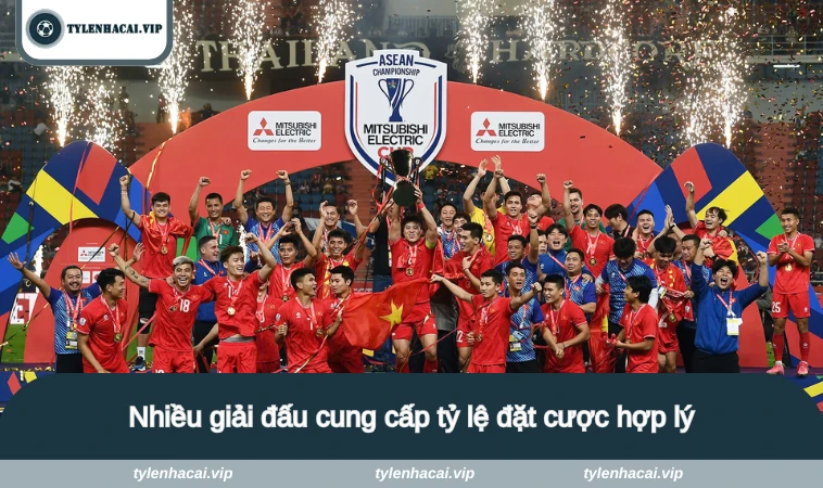 Nhiều giải đấu cung cấp tỷ lệ đặt cược hợp lý