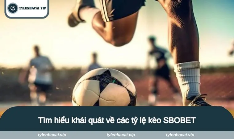 ty le keo sbobet 1 Tìm hiểu khái quát về các tỷ lệ kèo SBOBET